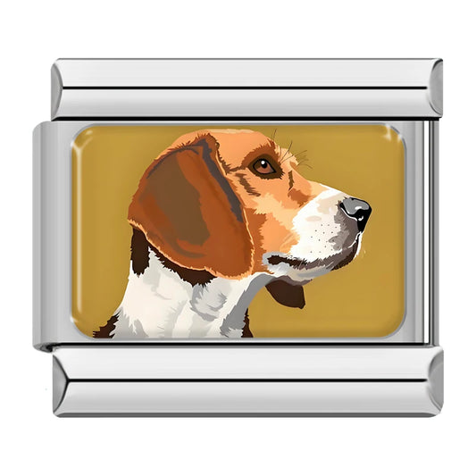 Beagle dog
