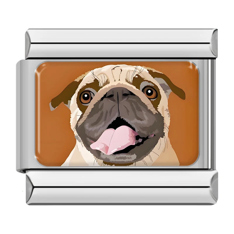 Pies Mops
